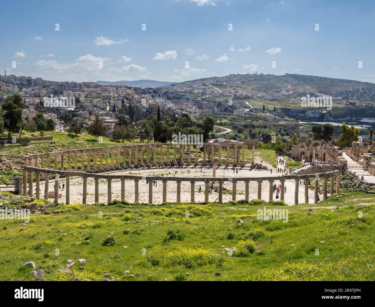 Colonne nella piazza ovale nell'antica città di Jerash, che si ritiene sia stata fondata nel 331 a.C. da Alessandro Magno, Jerash, Giordania, Medio Oriente Foto Stock