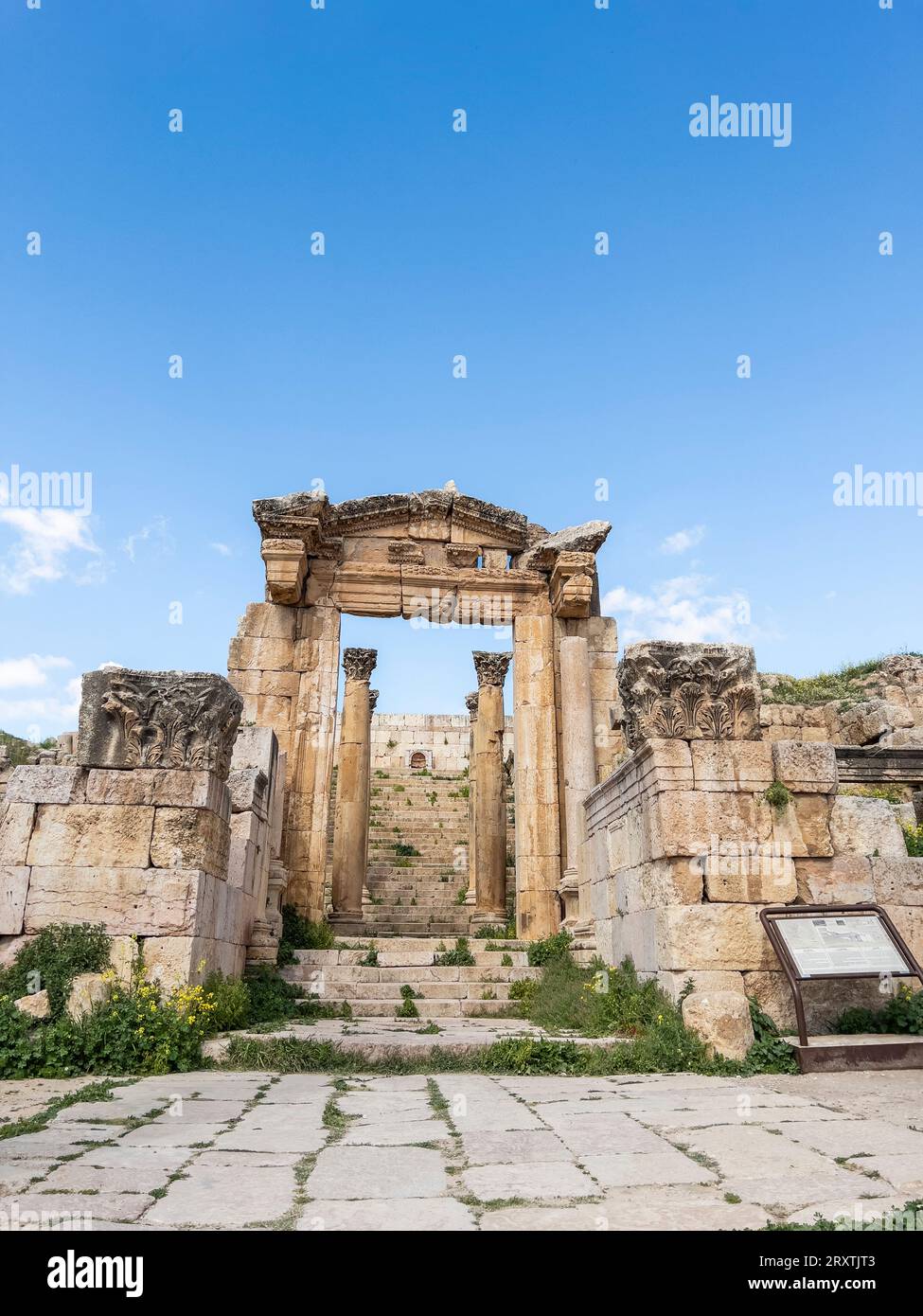 Colonne nell'antica città di Jerash, che si ritiene sia stata fondata nel 331 a.C. da Alessandro Magno, Jerash, Giordania, Medio Oriente Foto Stock