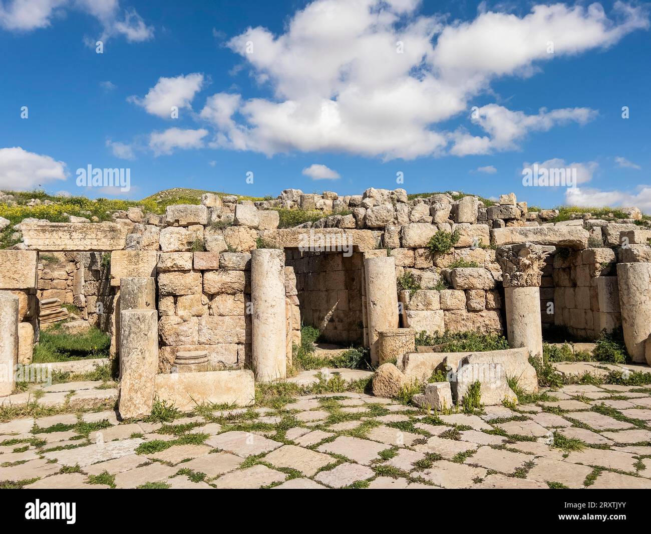 Colonne nell'antica città di Jerash, che si ritiene sia stata fondata nel 331 a.C. da Alessandro Magno, Jerash, Giordania, Medio Oriente Foto Stock