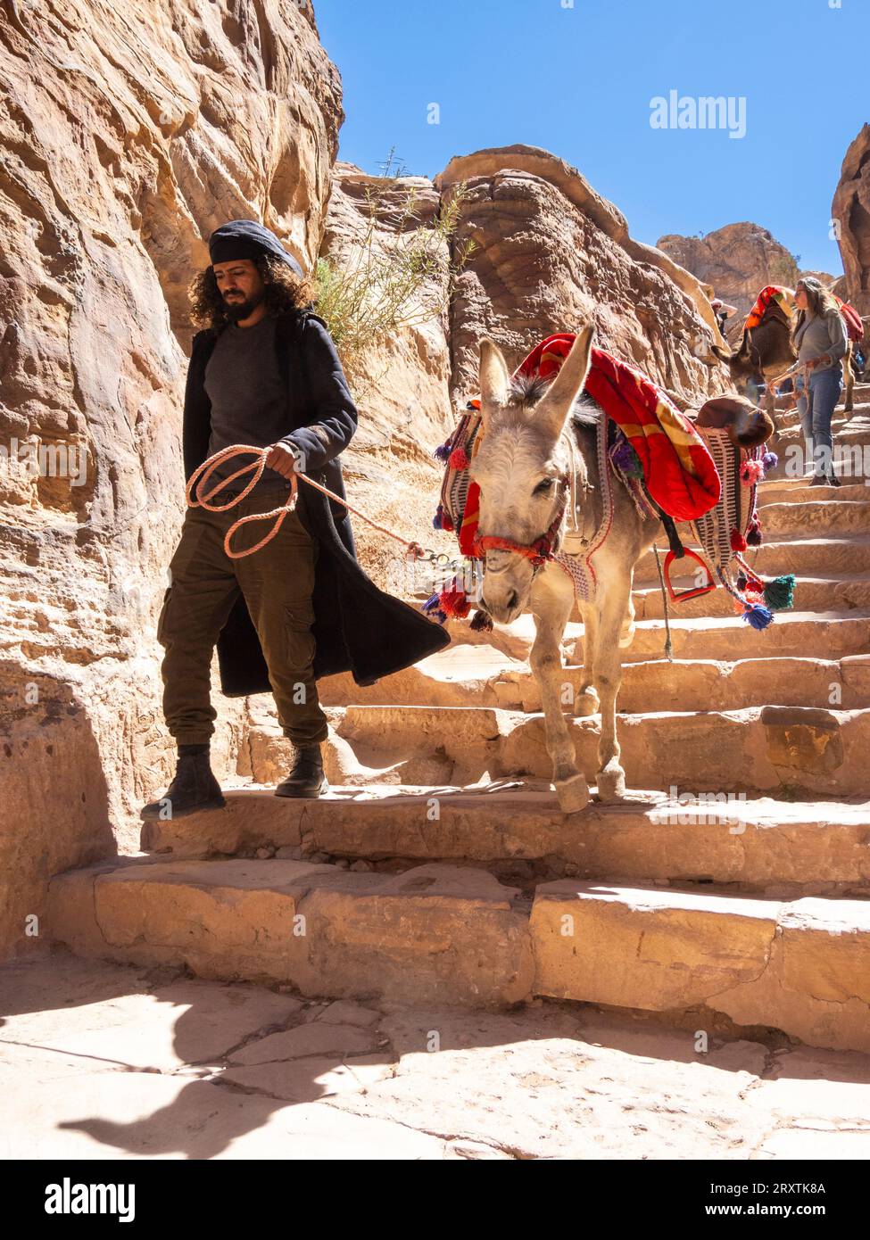 Asini lungo il percorso per il monastero di Petra (al Dayr), il parco archeologico di Petra, l'UNESCO, una delle nuove sette meraviglie del mondo, Petra, Giordania Foto Stock