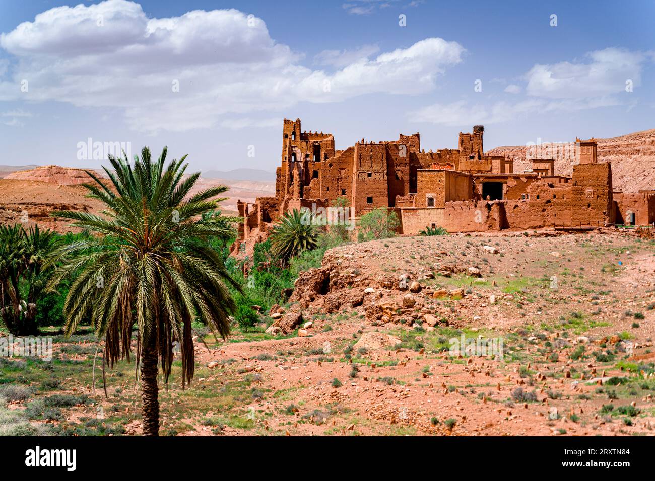 Antica kasbah circondata da palme, valle di Ounila, montagne dell'Atlante, provincia di Ouarzazate, Marocco, nord Africa, Africa Foto Stock