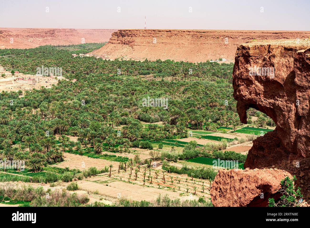 Palmeti e antico villaggio ai piedi di alte gole, valle di Ziz, montagne dell'Atlante, Marocco, Nord Africa, Africa Foto Stock