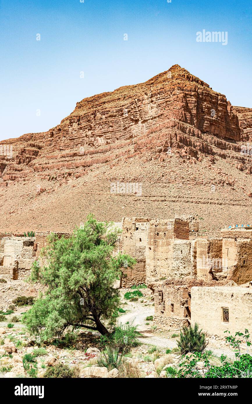 Edifici in mattoni di fango di un antico villaggio con canyon rossi su sfondo, valle di Ziz, montagne dell'Atlante, Marocco, Nord Africa, Africa Foto Stock