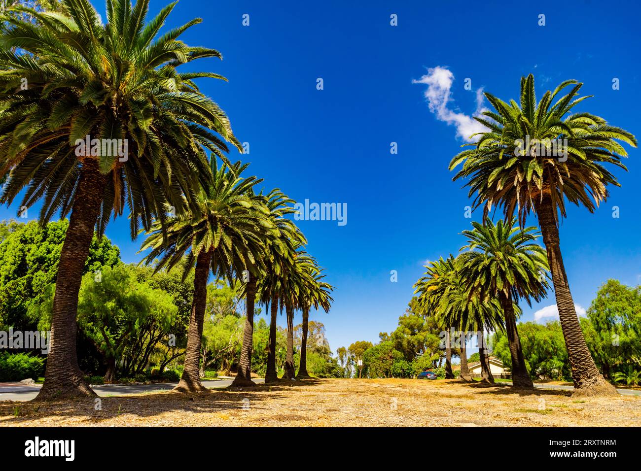 Terranea Resort, Rancho Palos Verdes, California, Stati Uniti d'America, Nord America Foto Stock
