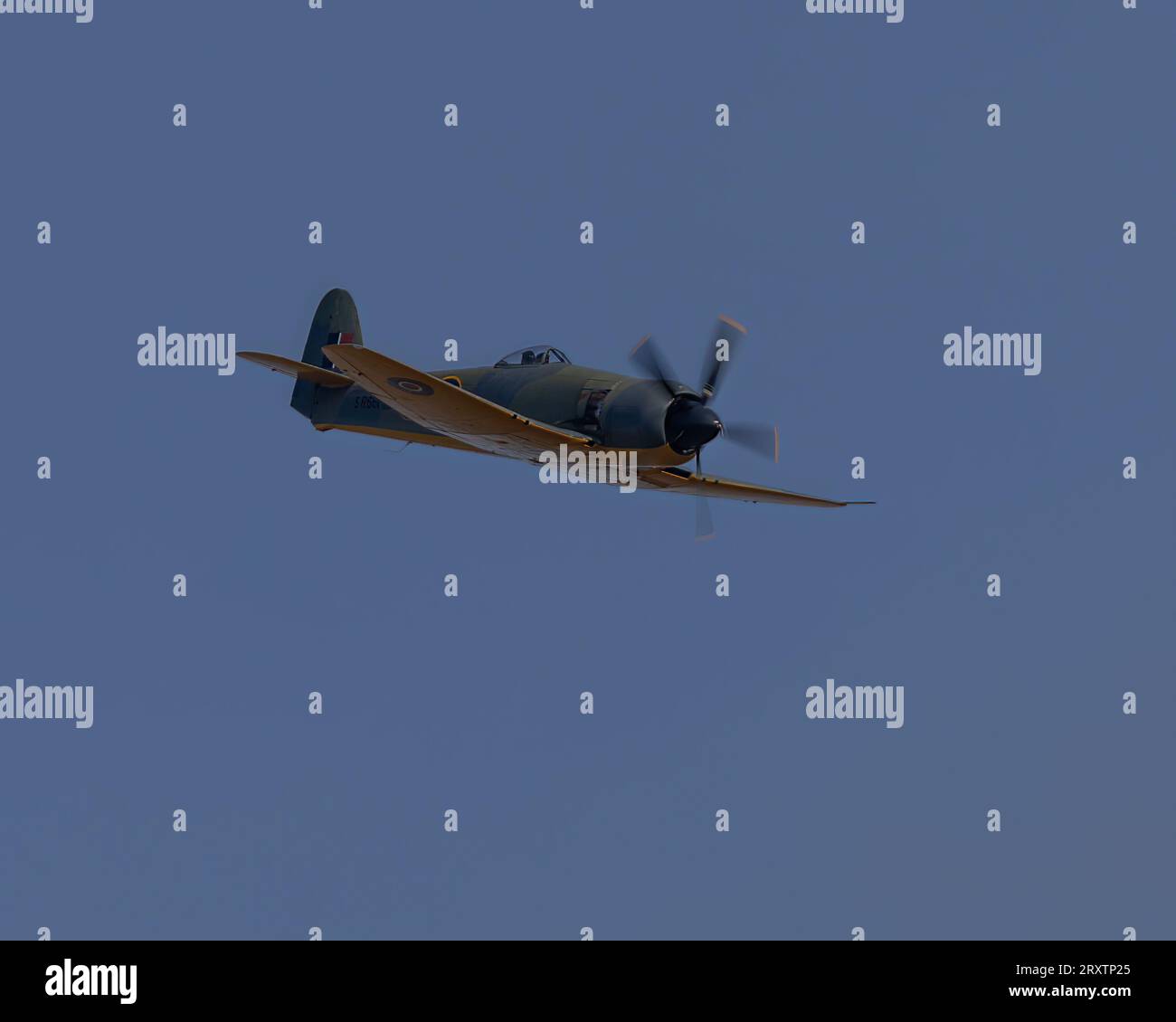 Hawker Fury FB.II, SR661 in volo al Battle of Britain Air Show del 2023 all'IWM Duxford Foto Stock