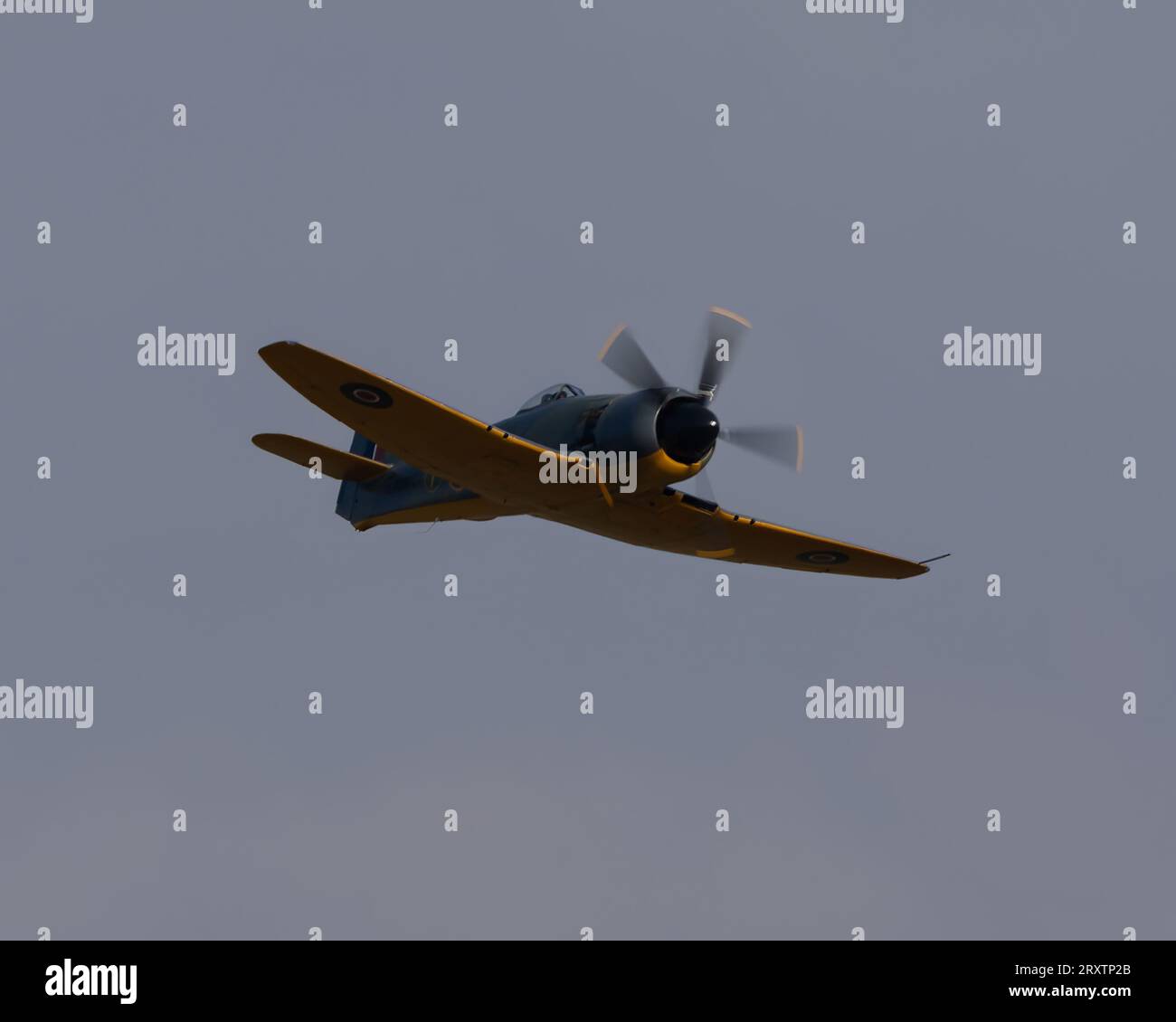 Hawker Fury FB.II, SR661 in volo al Battle of Britain Air Show del 2023 all'IWM Duxford Foto Stock