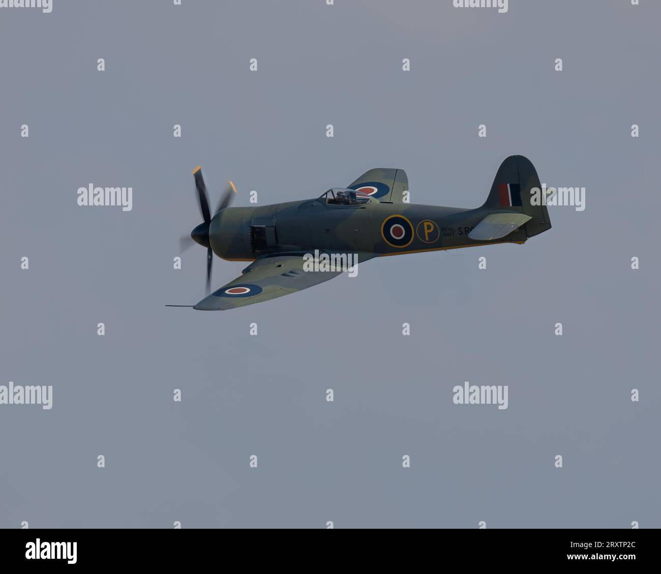 Hawker Fury FB.II, SR661 in volo al Battle of Britain Air Show del 2023 all'IWM Duxford Foto Stock
