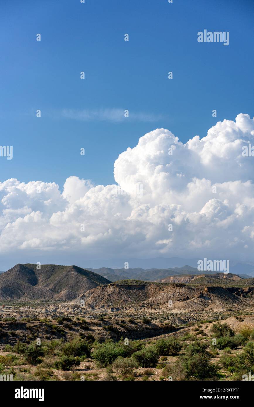 Paesaggio desertico di Tabernas in una giornata di sole, Almeria, Andalusia, Spagna, Europa Foto Stock