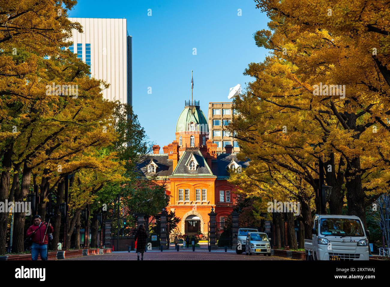 Municipio di Sapporo con bellissimi alberi di ginko autunnali, Sapporo, Hokkaido, Giappone, Asia Foto Stock