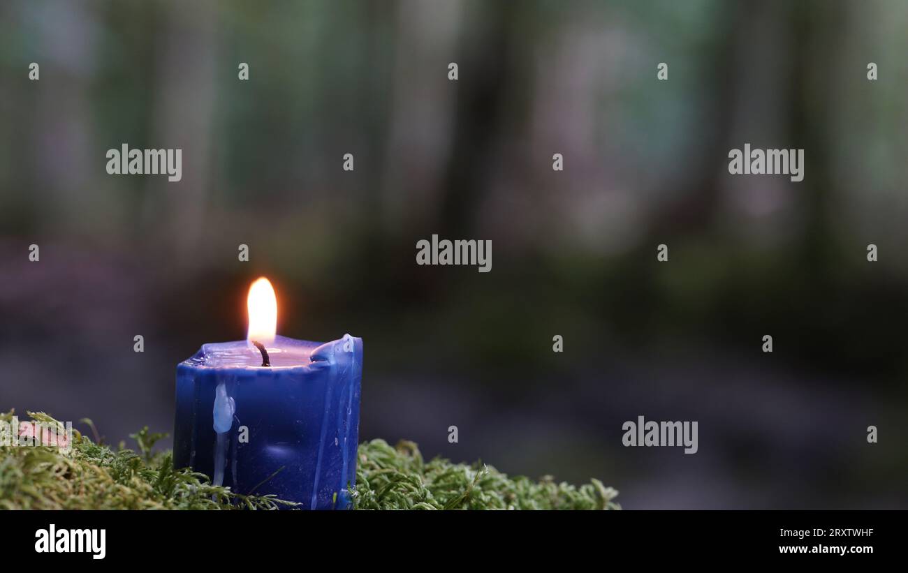 Una candela blu sul muschio in una foresta. Foto Stock