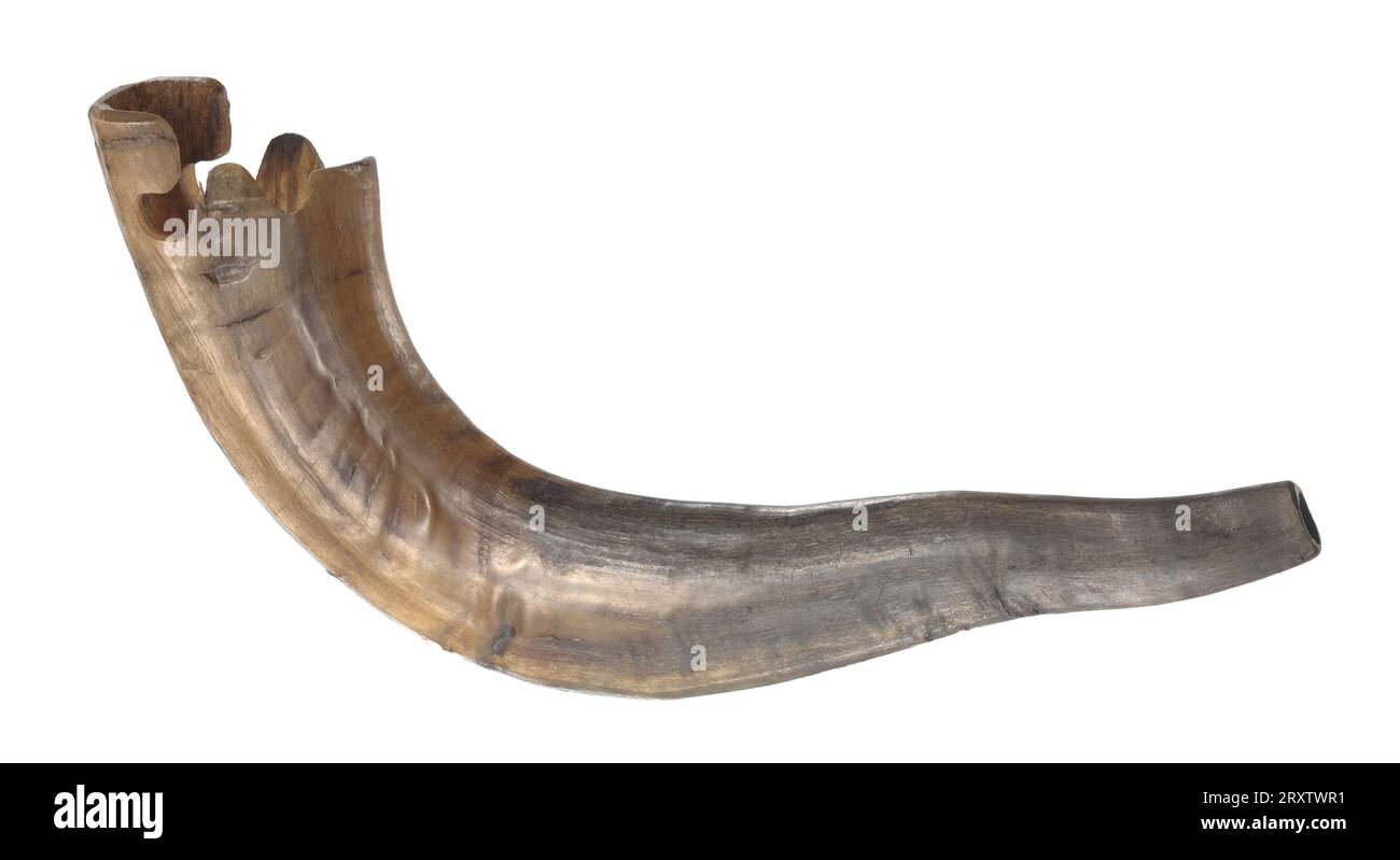 Uno shofar, uno strumento musicale rituale tradizionale ebraico, scolpito da un singolo corno di ariete. Lo shofar è dotato di un supporto in legno a forma di scatola con un supporto in plastica imbottito e avvolto con nastro nero. Foto Stock