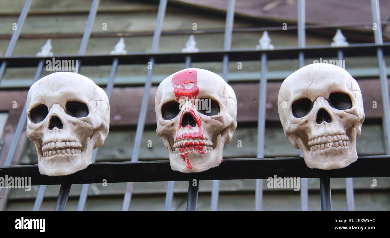 Tre teschi dell'orrore fissati a una recinzione metallica. Foto Stock