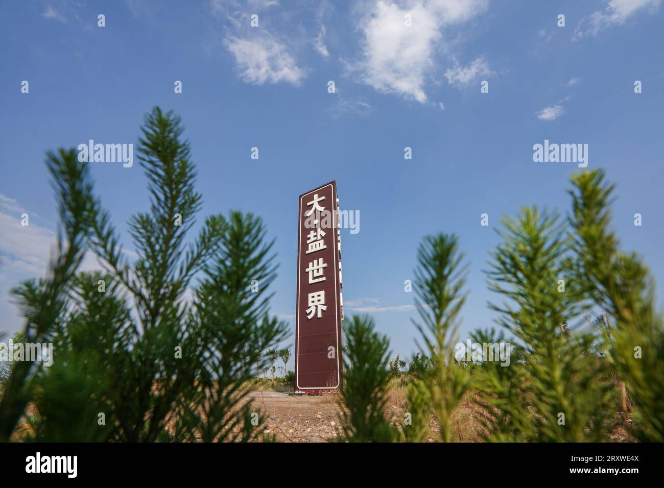 Laoting County, Cina - 10 giugno 2023: L'insegna "Big Salt World" si trova presso il campo di sale del fiume Daqing. Foto Stock