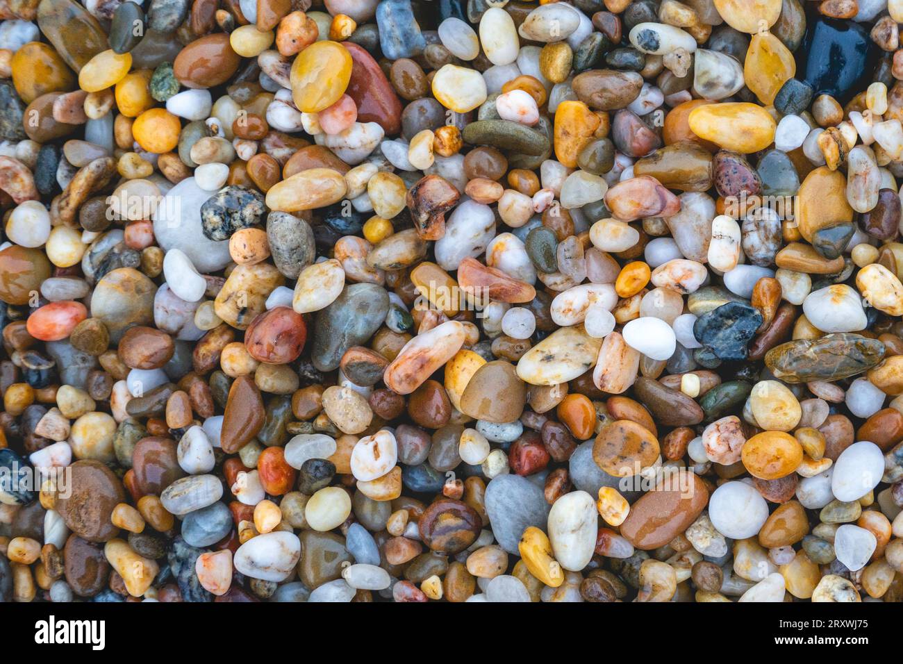 Rassegna le colorate pietre di ciottoli sulla spiaggia di Porto, Portogallo. Foto Stock