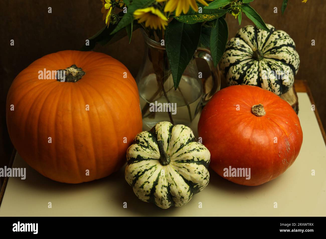 natura morta con girasoli selvatici e zucche colorate Foto Stock