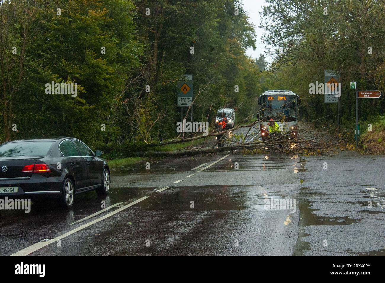 Mercoledì 27 2023 settembre, Bantry, West Cork Irlanda; Storm Agnes è atterrato a Bantry questa mattina. I conducenti sono avvertiti di aspettarsi ritardi in caso di allagamento e di prendere in considerazione gli utenti della strada vulnerabili. I conducenti di Bantry dovettero aspettare che i lavoratori ripulissero un albero caduto sulla N71 Glengarriff Road a Ballylickey. Foto; Evan Doak credito: Evan Doak/Alamy Live News Foto Stock