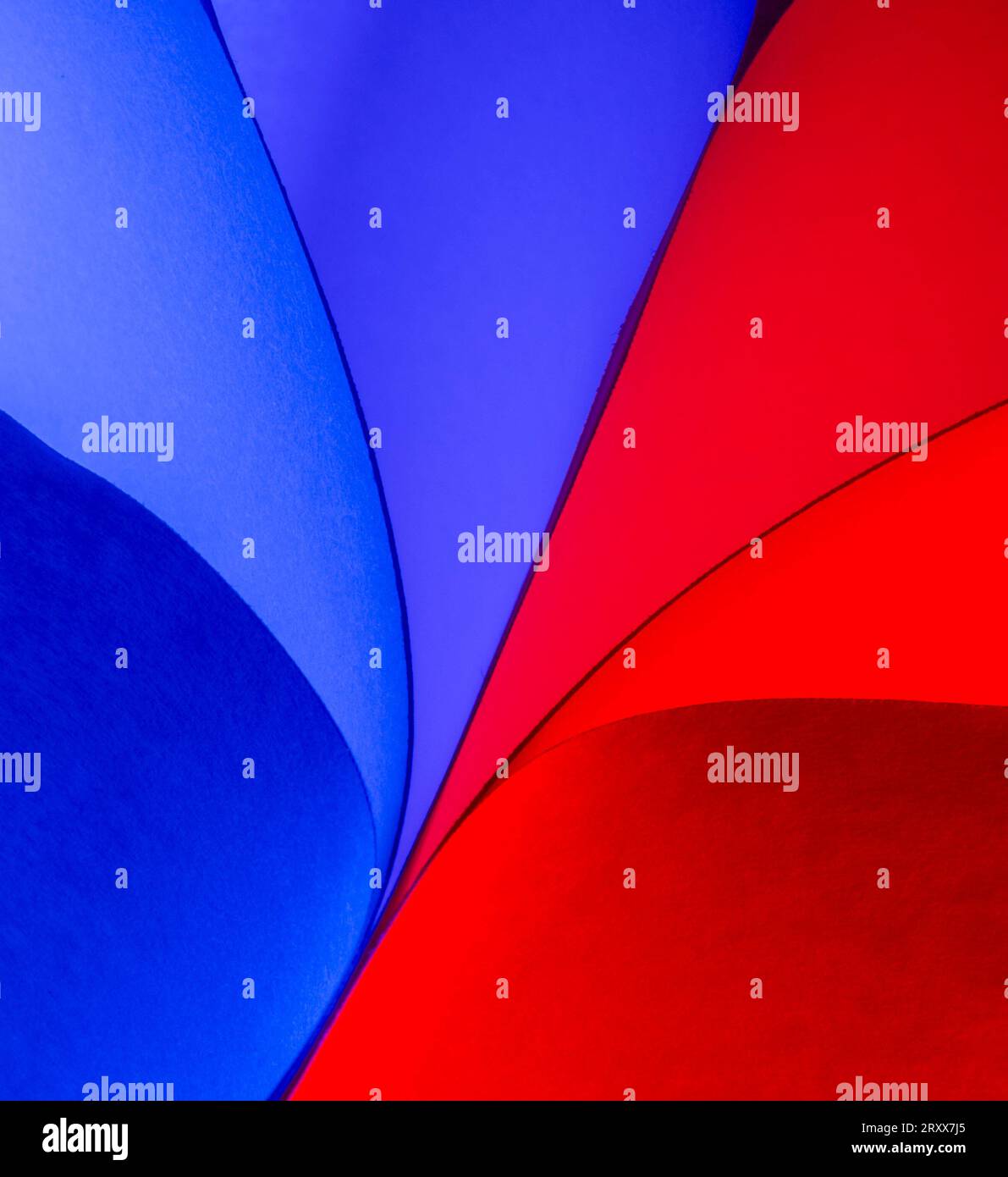 Primo piano delle forme curve di colore rosso e blu realizzate per normali fogli di carta bianca e luci colorate Foto Stock