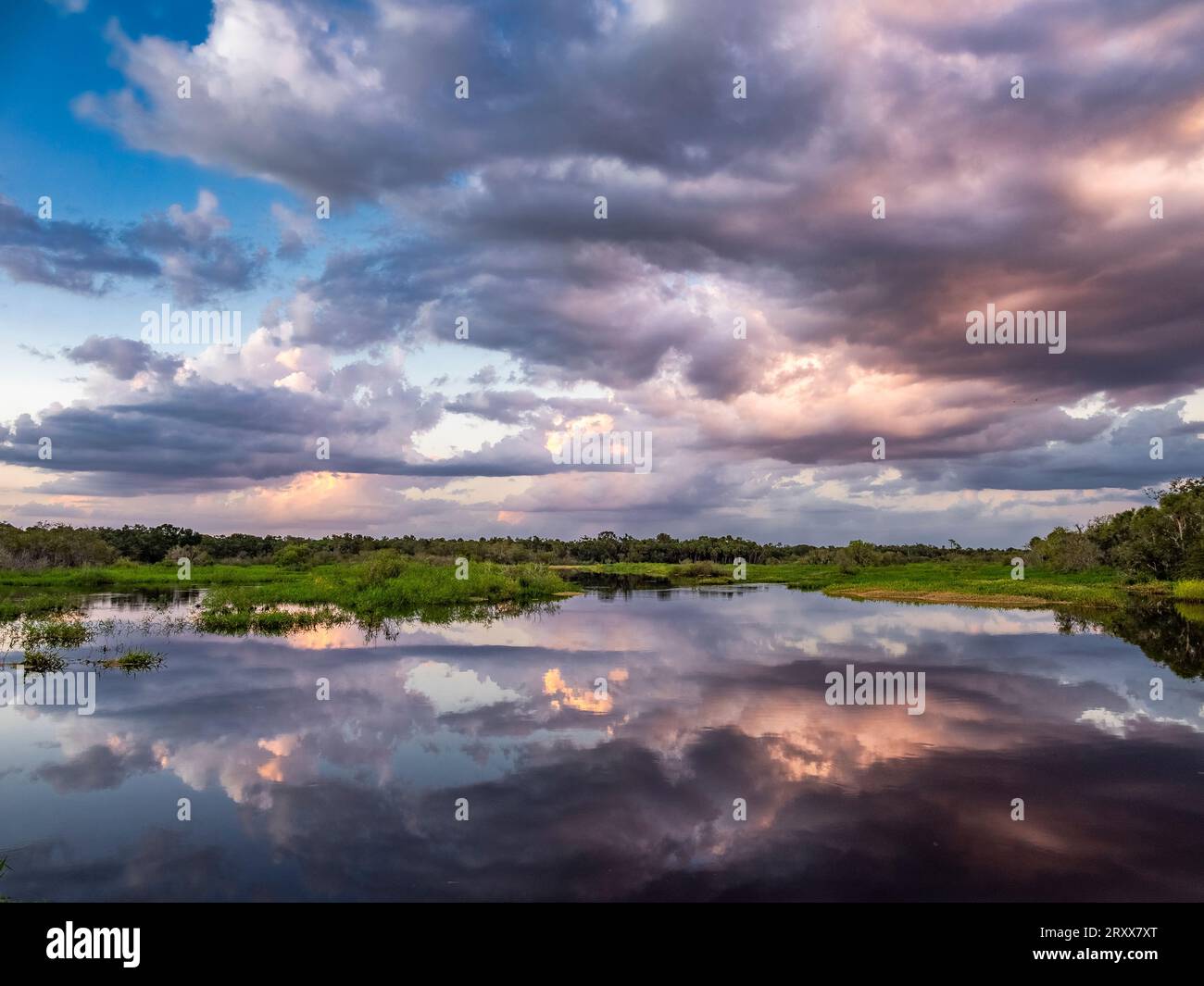 Nuvole rosa sul fiume Myakka nel Myakka River State Park a Sarasota, Florida, USA Foto Stock