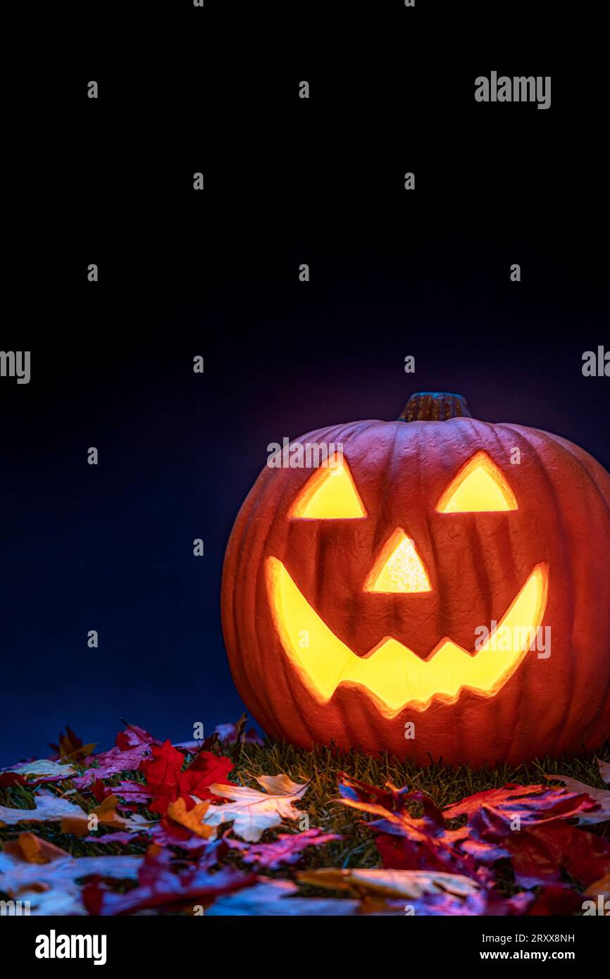 Un sorridente Jack o Lanterna con foglie cadute come decorazione di Halloween. Si illumina dalla luce interna ed è accentuata dalla luce blu della luna. Foto Stock