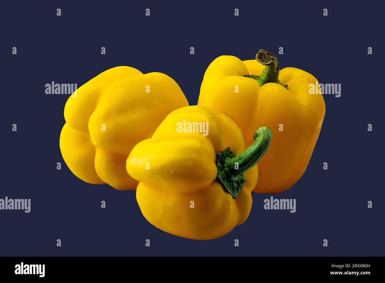 Tre peperoni dolci gialli brillanti e brillanti mettono in risalto lo sfondo blu scuro, creando un contrasto sorprendente e colorato. Foto Stock