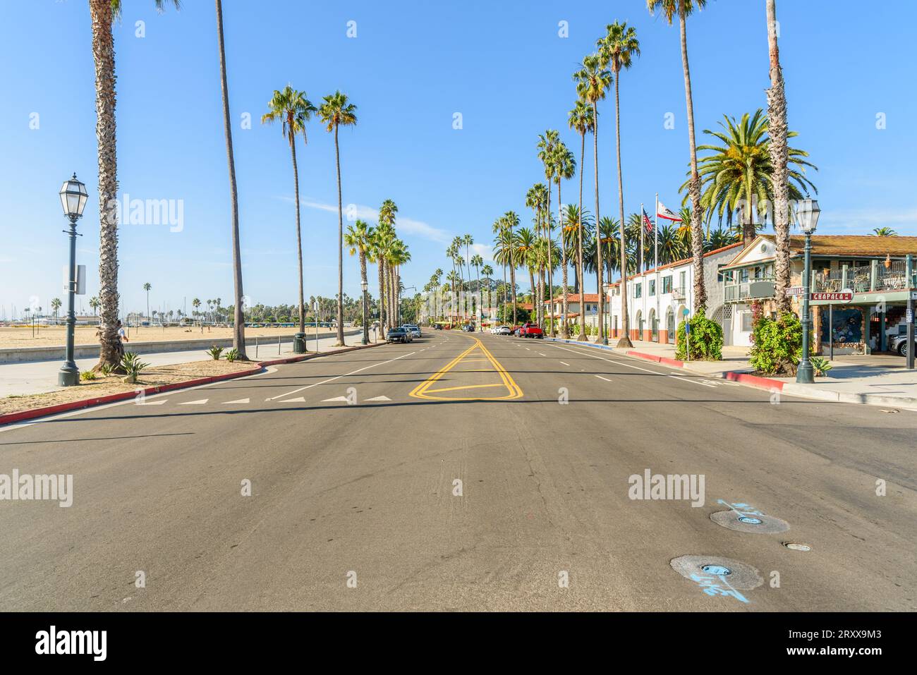 Strada sulla spiaggia fiancheggiata da palme in una soleggiata mattinata autunnale Foto Stock