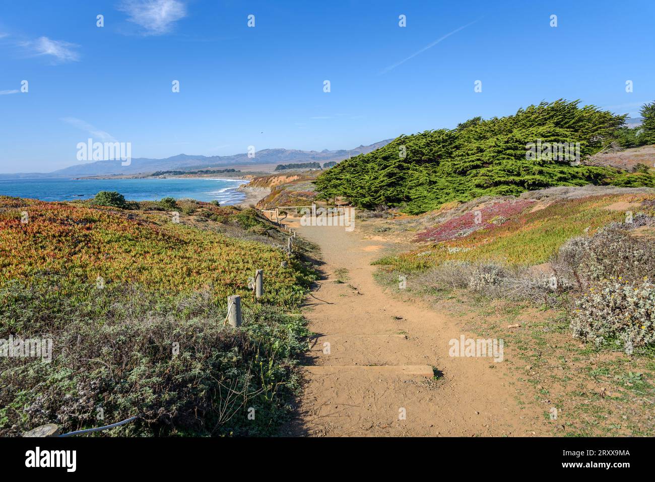 Sentiero deserto in cima alla scogliera che corre lungo l'aspra costa della California centrale in una chiara giornata autunnale Foto Stock