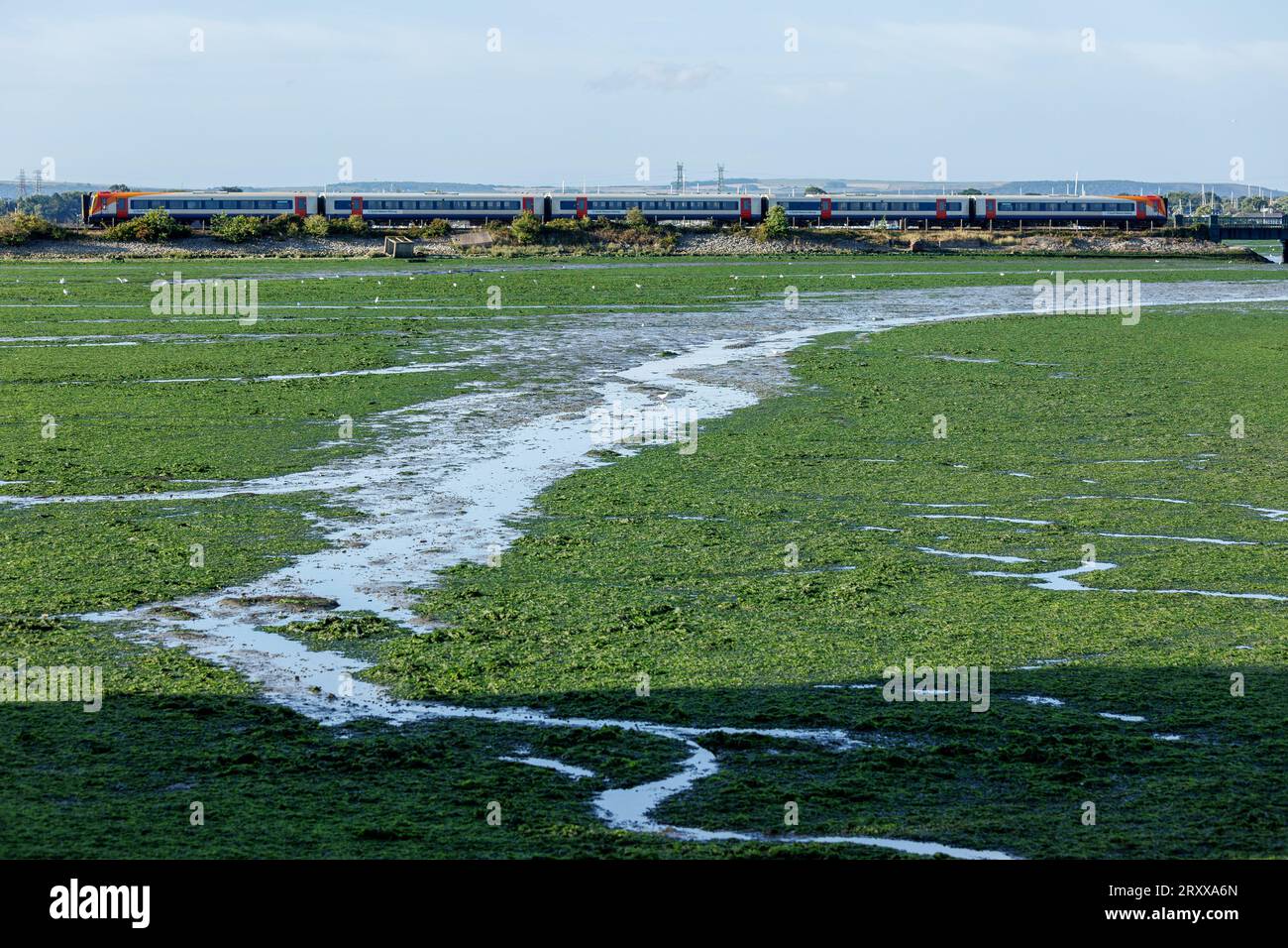 Fioritura di alghe vista sopra l'area della baia di Holes del porto di Poole nel Dorset con la bassa marea. Gli agricoltori della zona della contea da cui le acque sotterranee e i fiumi fluiscono nel mare si trovano di fronte alla necessità di ridurre drasticamente la quantità di azoto di cui le loro aziende agricole sono ritenute responsabili, in quanto vengono accusati della quantità di alghe presenti nel harbor. Ci sono anche una serie di sbocchi fognari che alimentano il sistema fluviale che alimenta questa parte del secondo porto naturale più grande del mondo e quindi gli agricoltori si sentono naturalmente arrabbiati di essere accusati Foto Stock