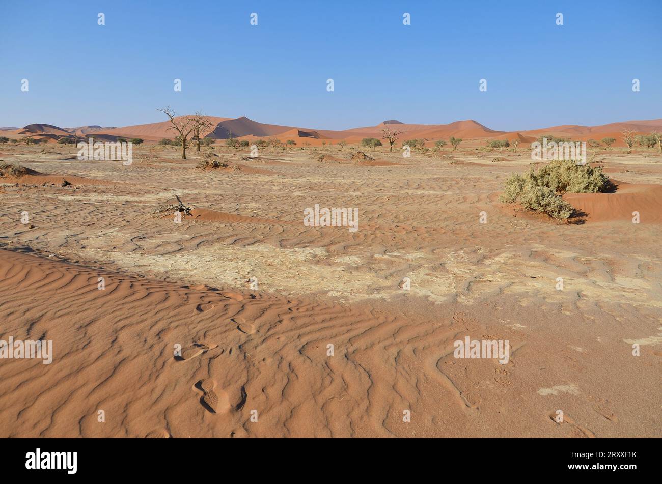 paesaggio desertico del namib Foto Stock