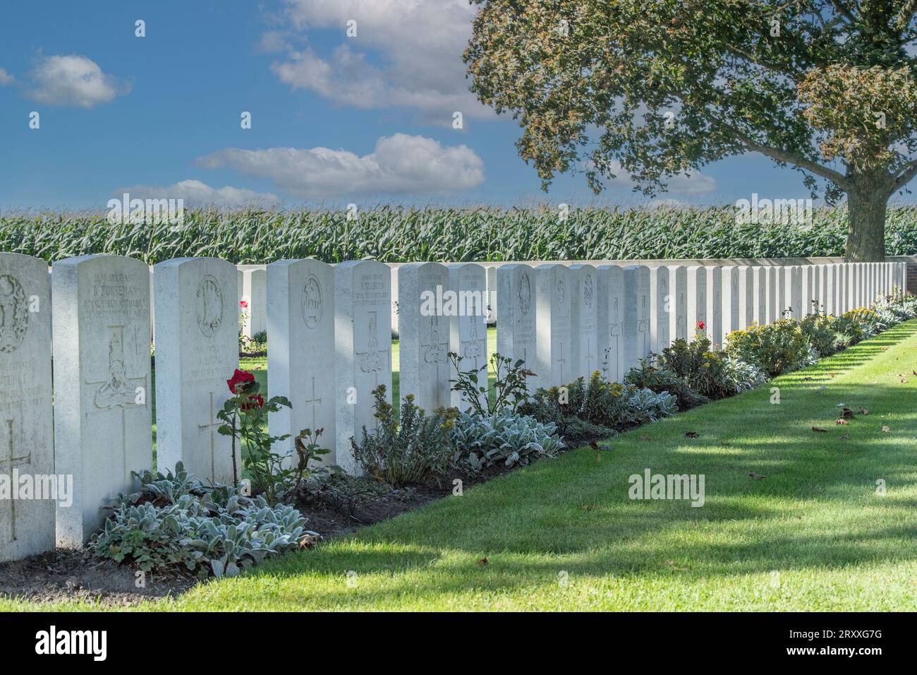 Canada Farm War Cimitero, Belgio Foto Stock
