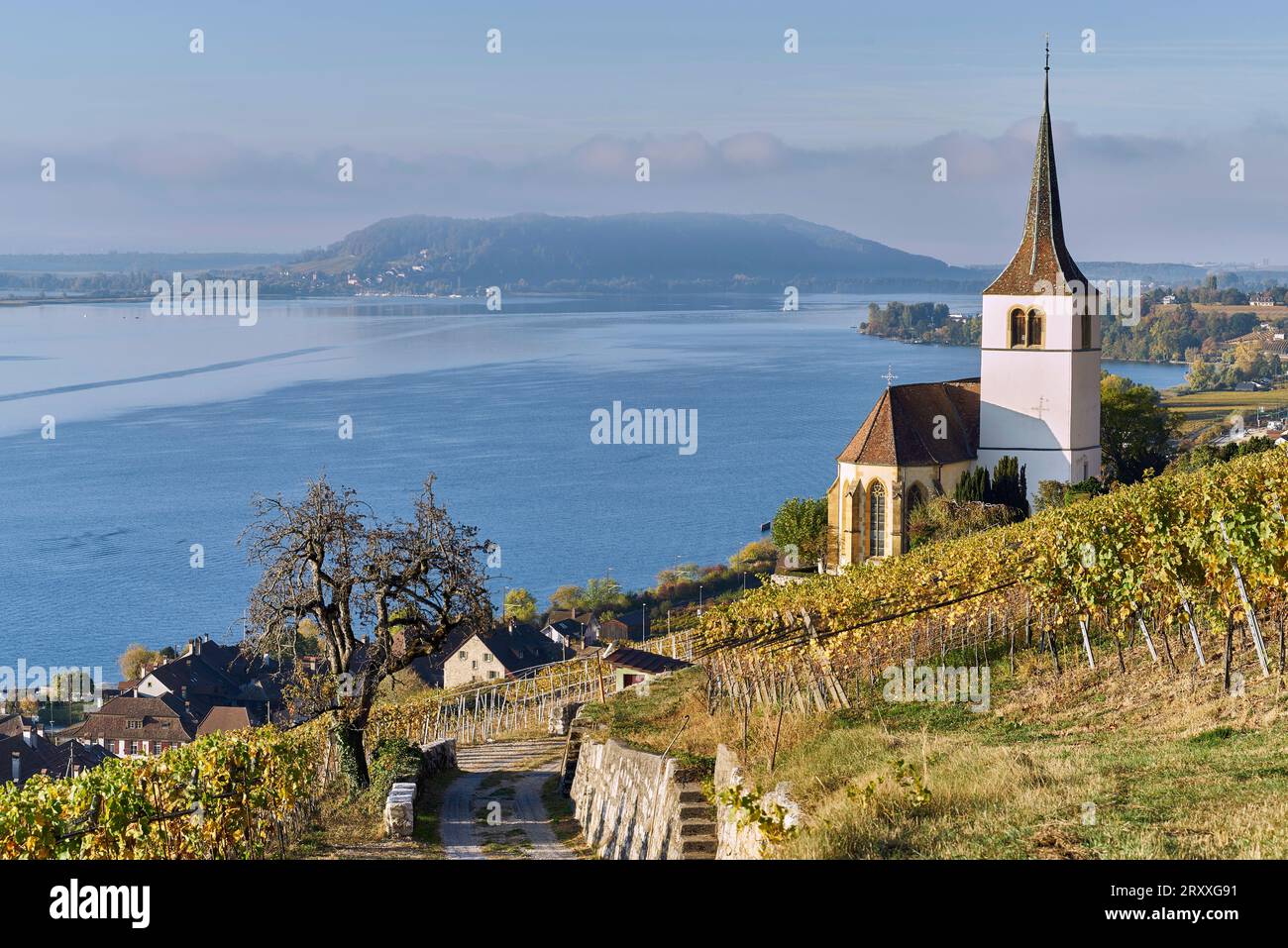 Ligerz è un villaggio e una comunità politica con una propria comunità residente e una comunità cittadina nel distretto amministrativo di Biel/Bienne nel sud-ovest Foto Stock