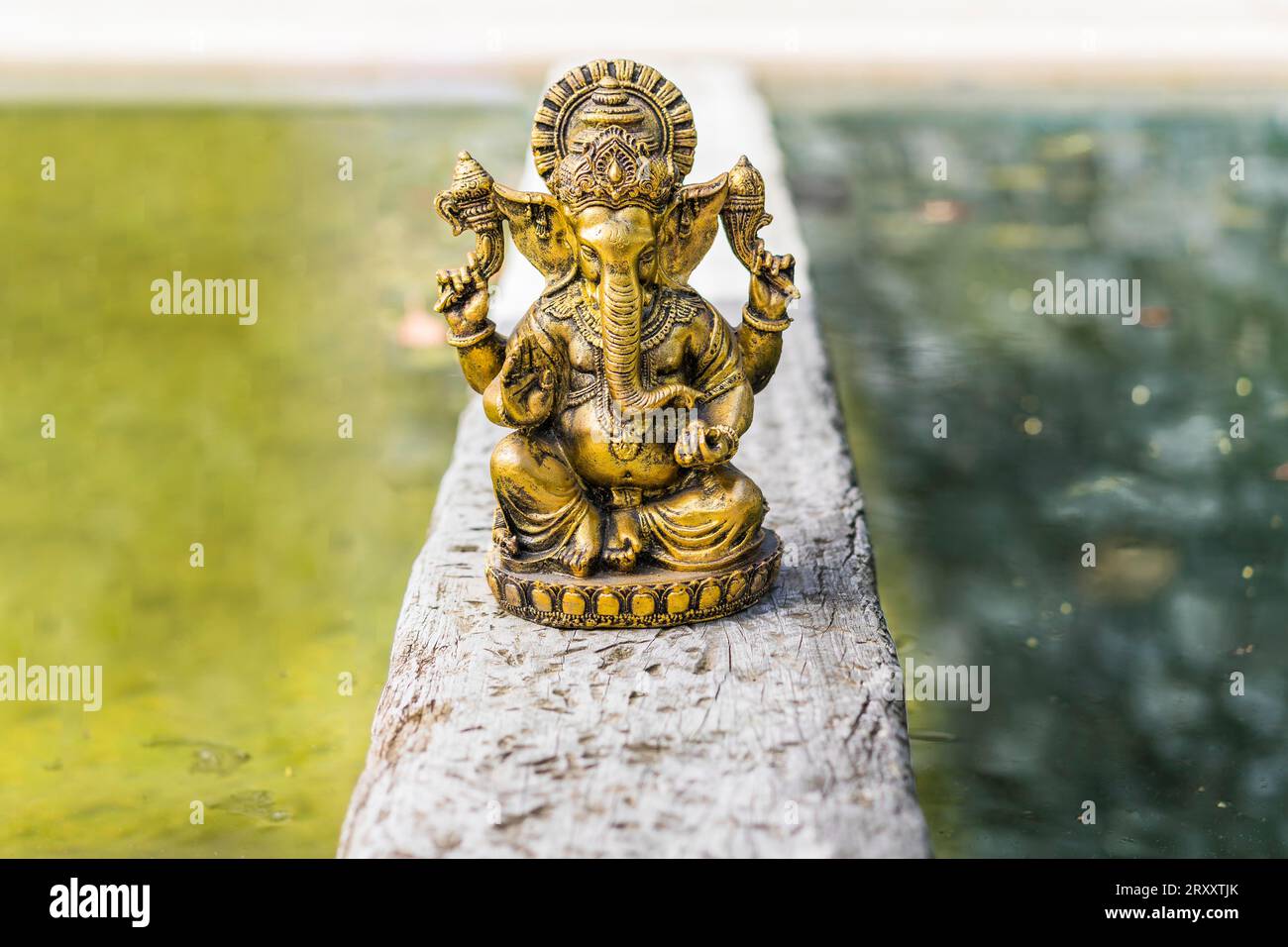 Statua di Ganesha d'oro su un tronco sopra l'acqua. Copia spazio Foto Stock