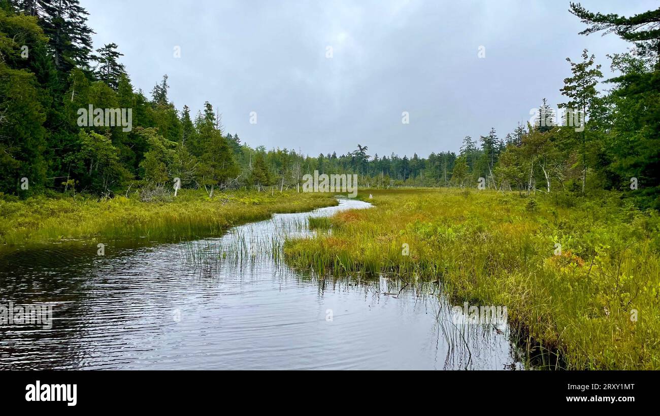 Viste panoramiche durante le escursioni intorno al Jordan Pond nel Parco Nazionale di Acadia, a Bar Harbor, Maine. Foto scattate in estate in un giorno nuvoloso e piovoso. Foto Stock