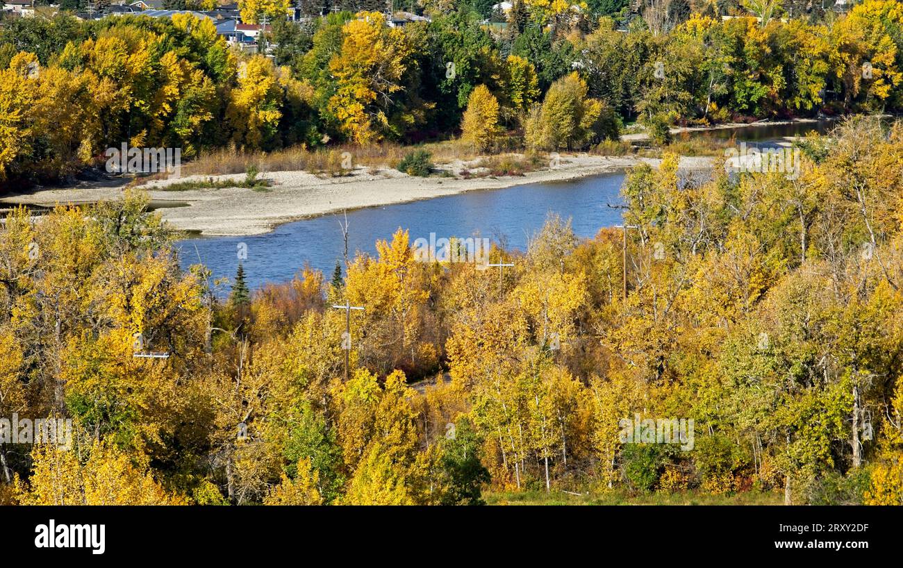 Autunno alberi Bowmont Park Calgary Alberta Foto Stock