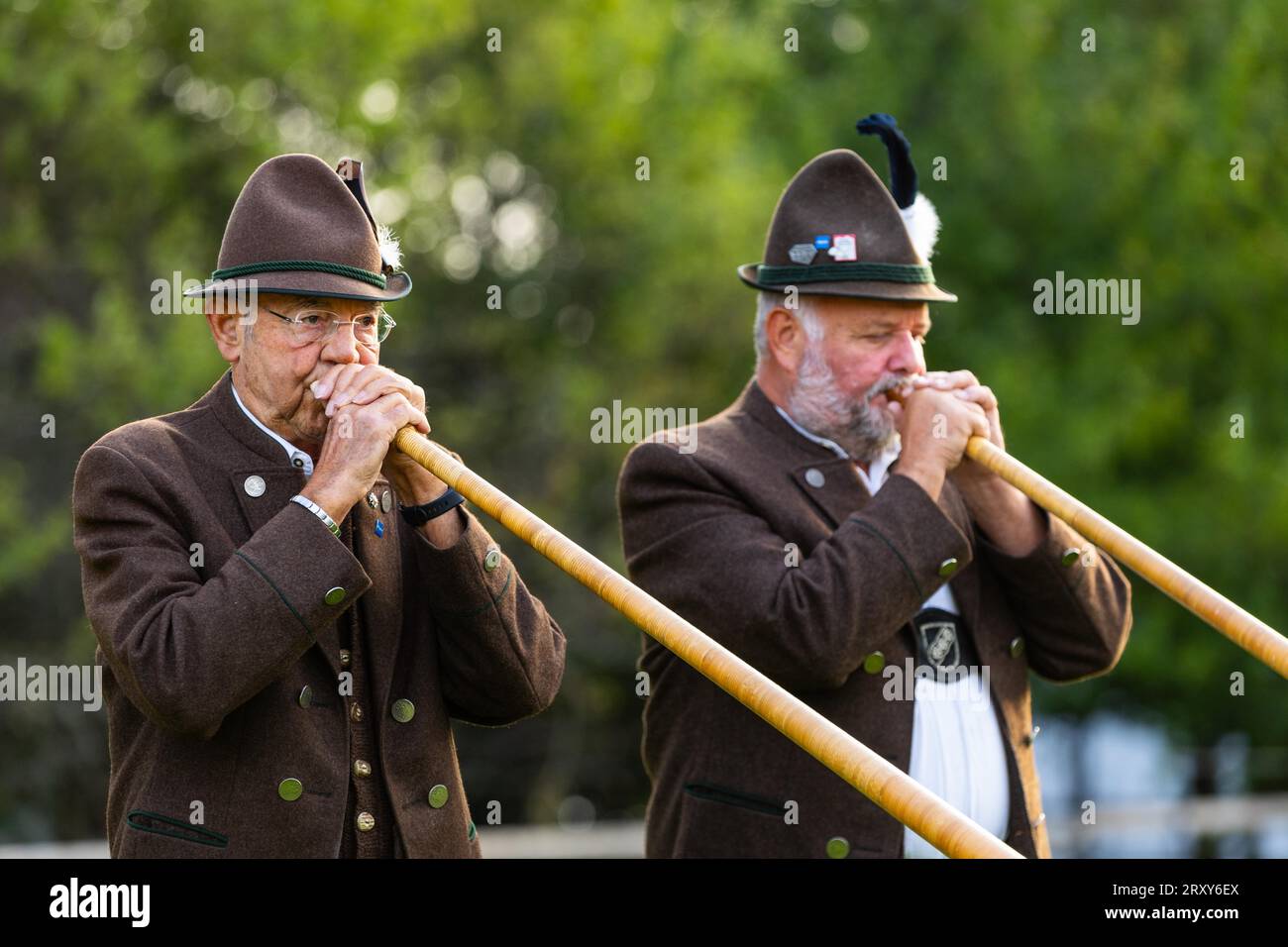 Alphorn Blowers, musicisti, band musicale, Viehschiedplatz, Wertach, Allgaeu Alps, Baviera, Germania Foto Stock