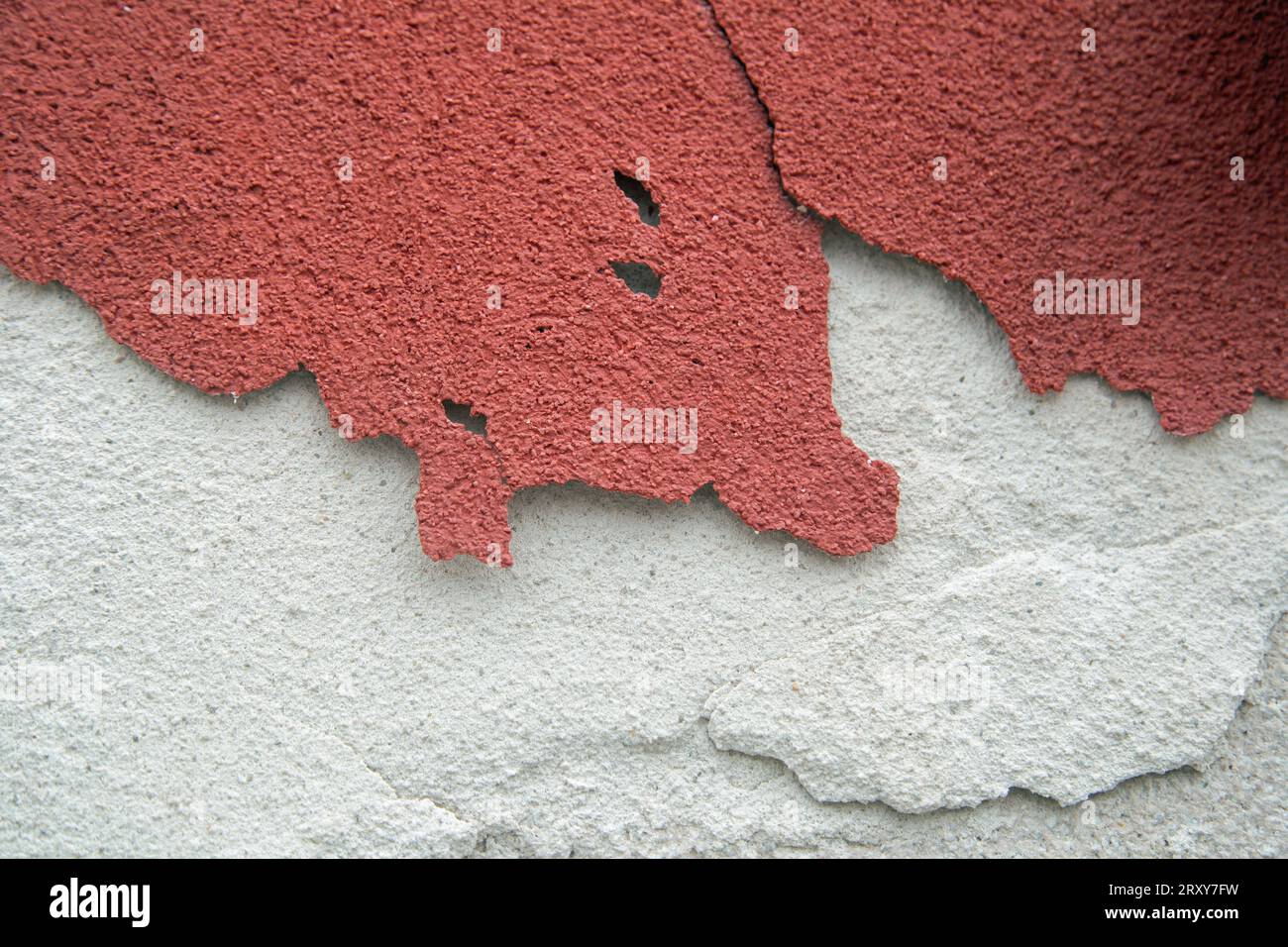 Una vernice ruvida rossa si stacca da una parete in gesso bianco Foto Stock