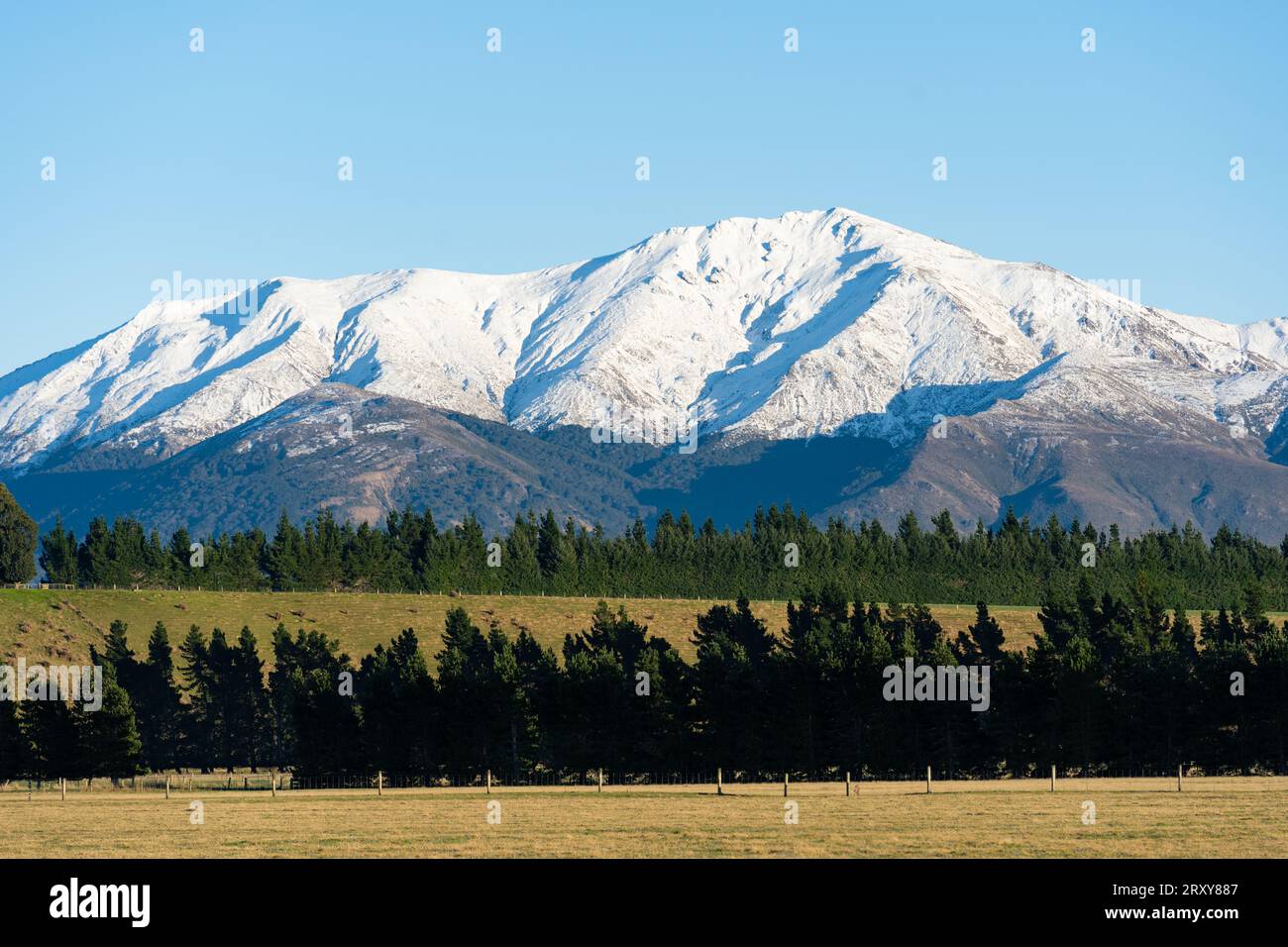 Vista delle Alpi meridionali dai terreni agricoli di Central Otago, nuova Zelanda Foto Stock