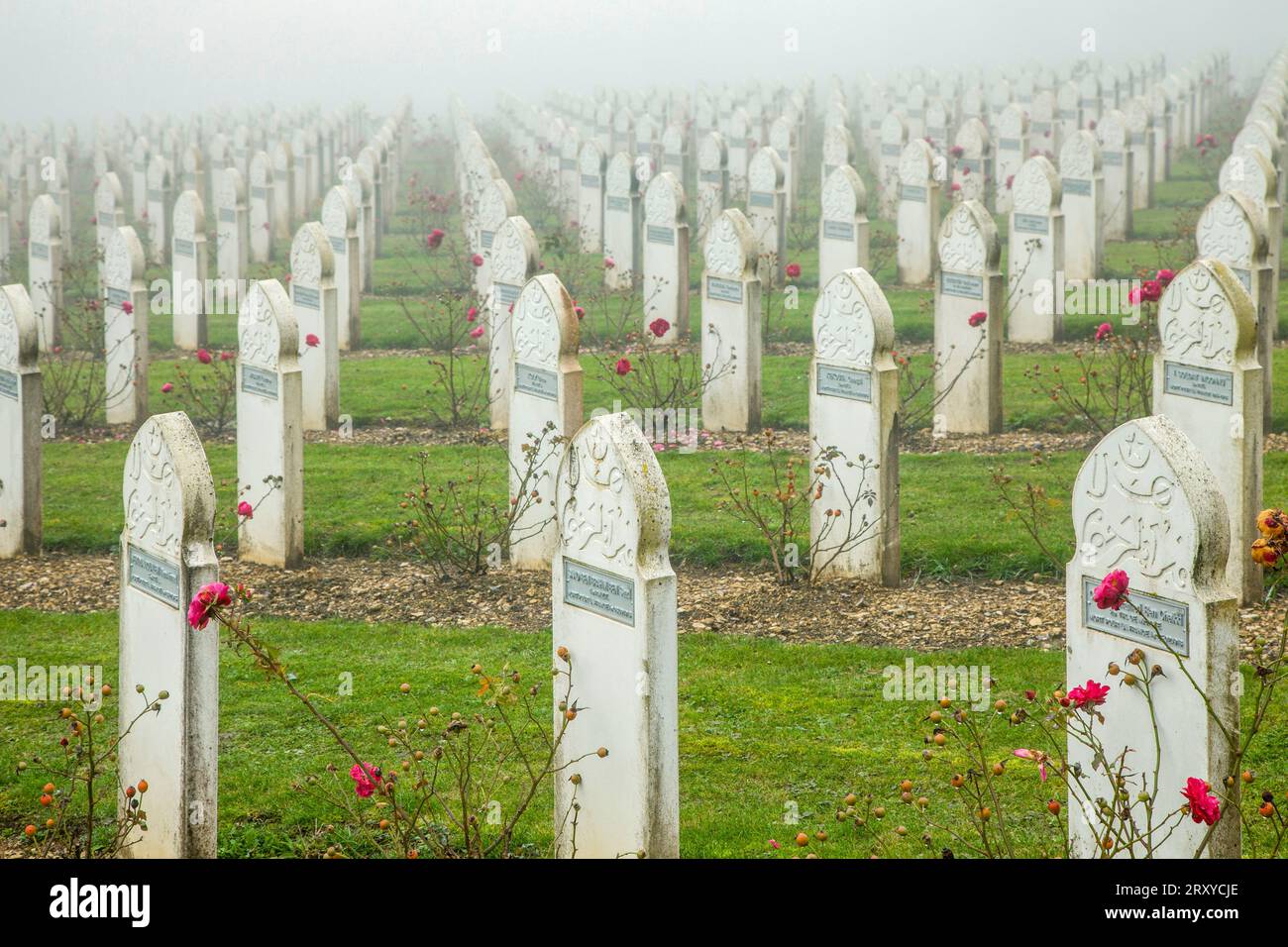 Tombe islamiche nel cimitero della prima guerra mondiale di Douamont, Verdun, Francia Foto Stock