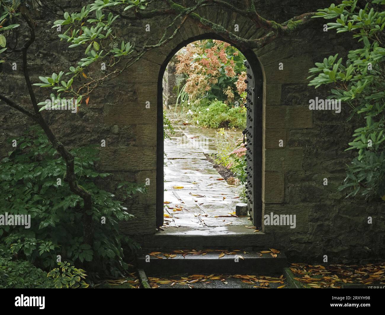 porta del giardino aperta ad arco tra giardini murati con lapidi bagnati che brillano oltre Foto Stock