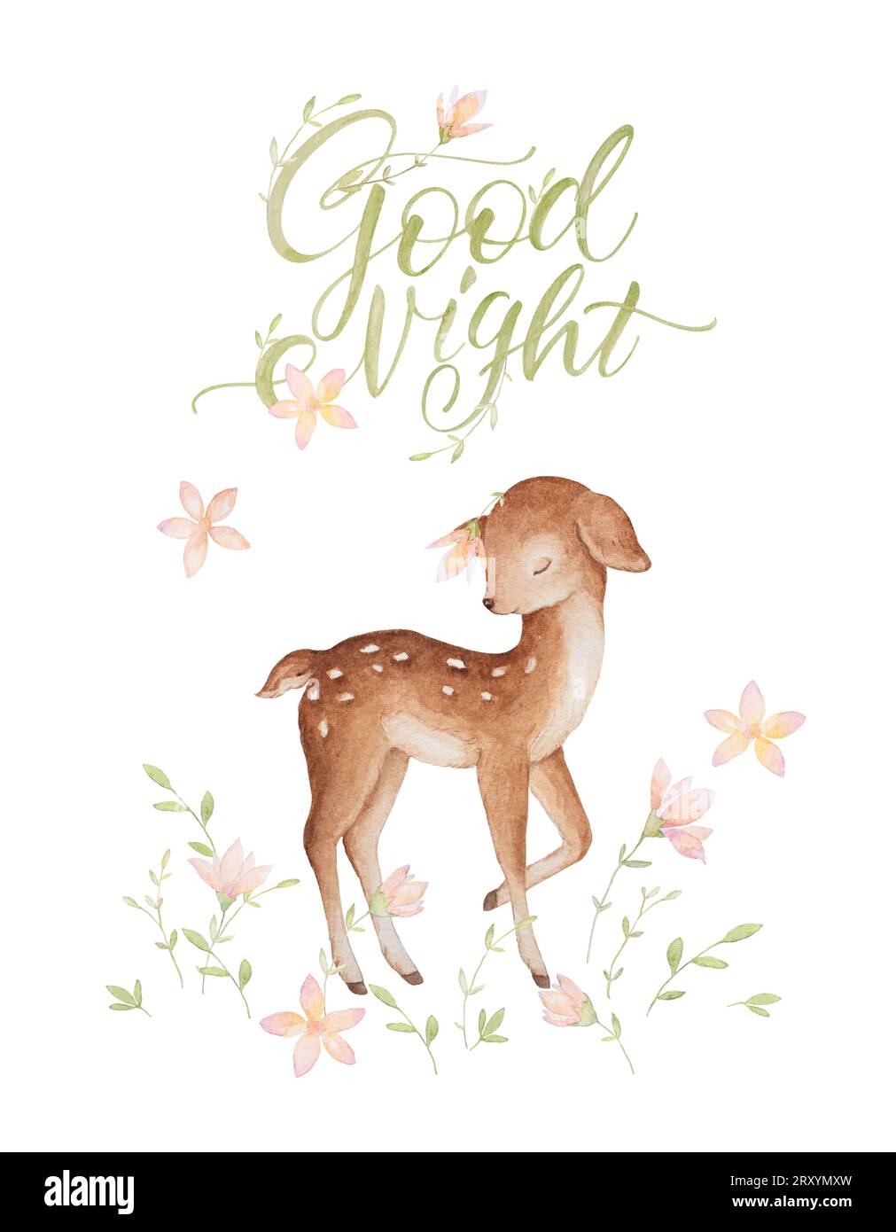 Acquerello di Little Deer, animali del bosco, acquerello di Baby Deer, Fiori d'acquerello, lettering Good Night, baby poster, Baby Clipart Foto Stock