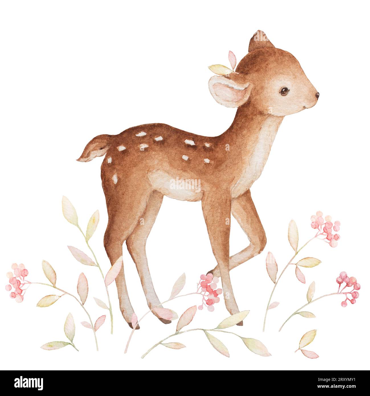 Acquerello di Little Deer, animali del bosco, cervi piccoli, bacche rosse, stampe per bambini, composizione prefabbricata, Baby Watercolor Clipart Foto Stock