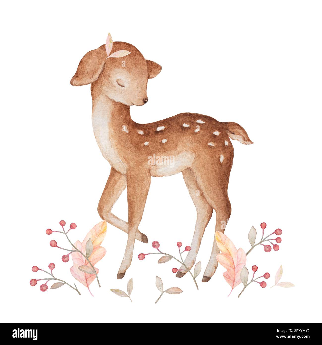 Acquerello del piccolo cervo, animali del bosco, cervi del bambino, Fawn acquerello, bacche rosse, baby Clipart, Baby poster, Nursery Wall Art Animals Foto Stock