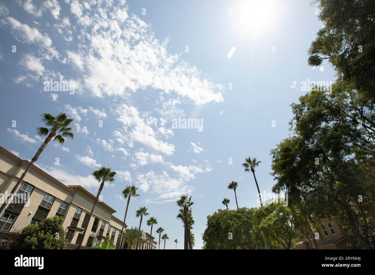 Anaheim, California, USA - 15 agosto 2021: La luce del pomeriggio splende sul corridoio storico del centro di Anaheim. Foto Stock
