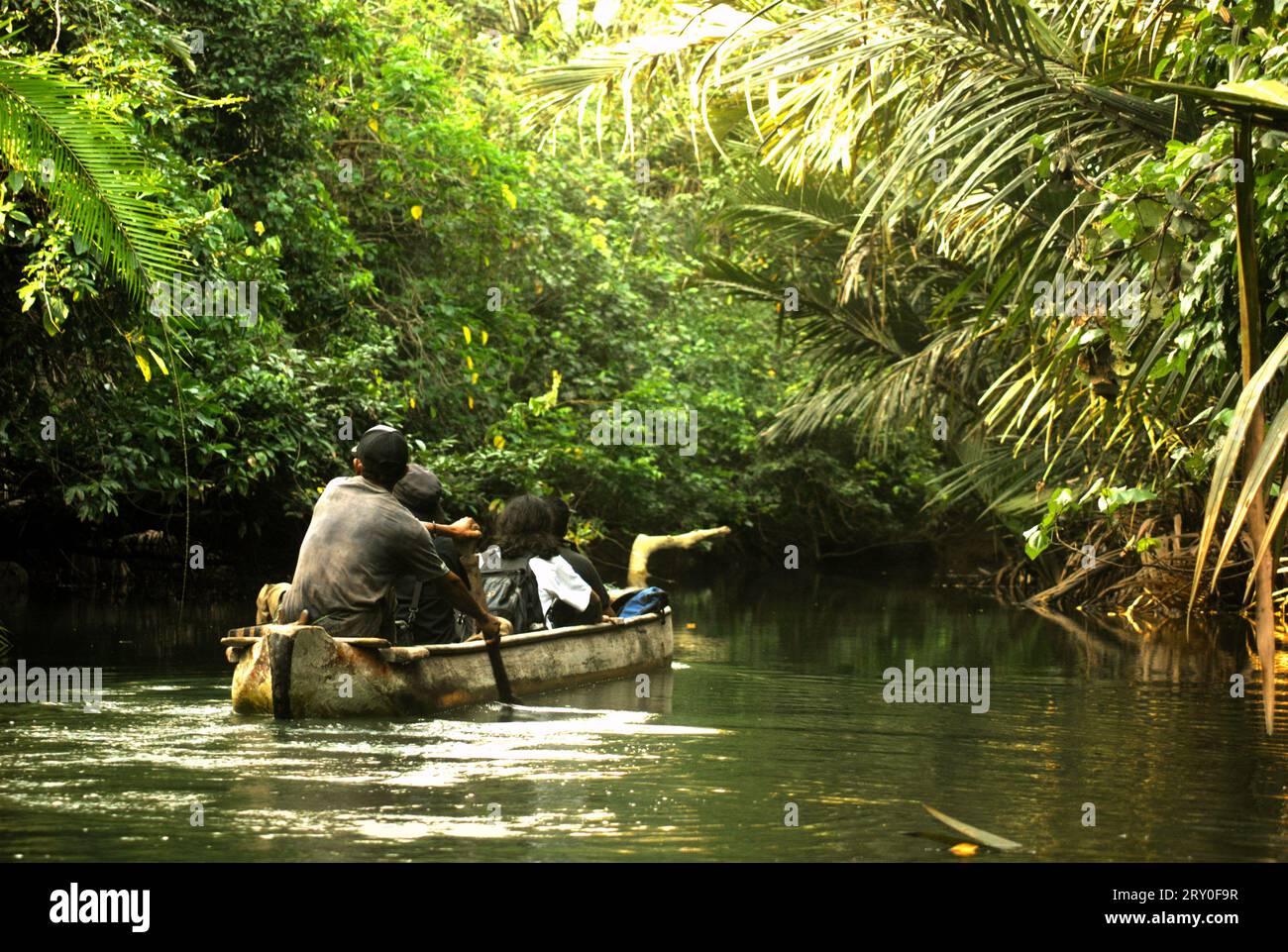 I ranger del parco nazionale e un giornalista viaggiano in barca mentre fanno un'escursione sul fiume Cigenter, situato sull'isola di Handeleum, una parte del Parco nazionale di Ujung Kulon a Pandeglang, Banten, Indonesia. Un parco nazionale ben gestito ha una strategia competente e appropriata per prevenire la perdita di biodiversità e il cambiamento climatico, e migliorare la società locale mantenendo nel contempo il funzionamento essenziale degli ecosistemi, da cui dipende l'umanità in tutto il mondo, secondo gli scienziati. Tuttavia, 'vaste aree dei parchi nazionali sono state poste sotto rigorosa protezione per la conservazione della biodiversità e... Foto Stock