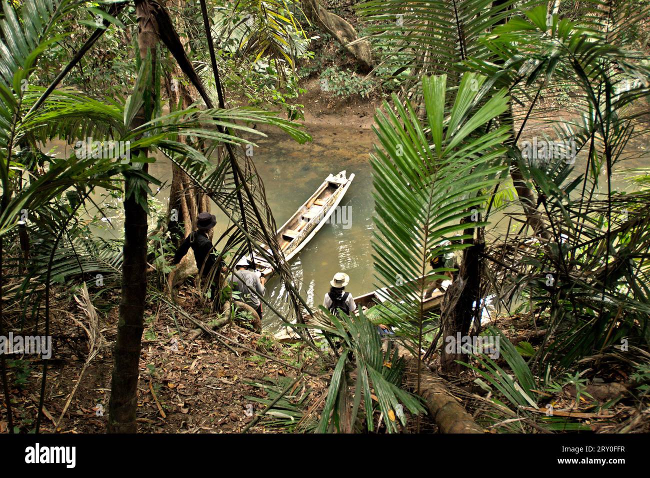I ranger e i giornalisti del parco nazionale si preparano a salire a bordo delle barche prima di un'escursione sul fiume Cigenter, l'isola di Handeuleum, una parte del parco nazionale Ujung Kulon a Pandeglang, Banten, Indonesia. Un parco nazionale ben gestito ha una strategia competente e appropriata per prevenire la perdita di biodiversità e i cambiamenti climatici e migliorare la società locale mantenendo al contempo il funzionamento essenziale dell'ecosistema, da cui dipende l'umanità in tutto il mondo, secondo gli scienziati. Tuttavia, 'vaste aree dei parchi nazionali sono state poste sotto una rigorosa protezione per la conservazione della biodiversità e l'integrità degli ecosistemi,... Foto Stock
