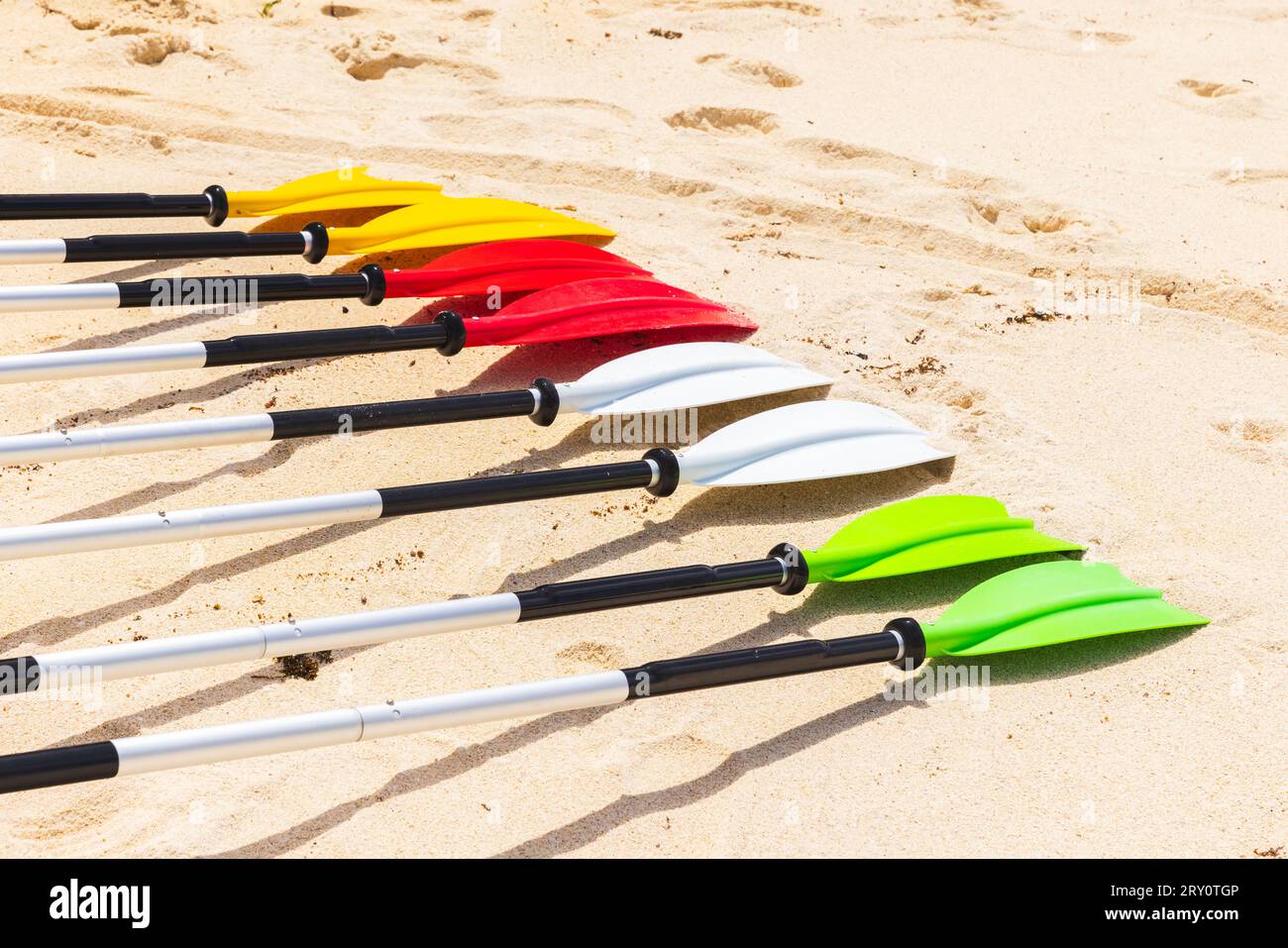 Pagaie colorate per andare in kayak si stendono sulla sabbia bianca in una giornata di sole, sulla spiaggia delle Seychelles Foto Stock