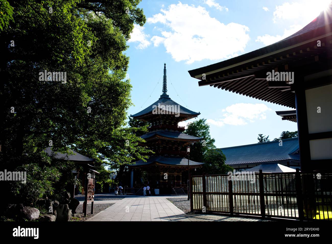 Narita Mountain New Victory Temple Tokyo Giappone Foto Stock