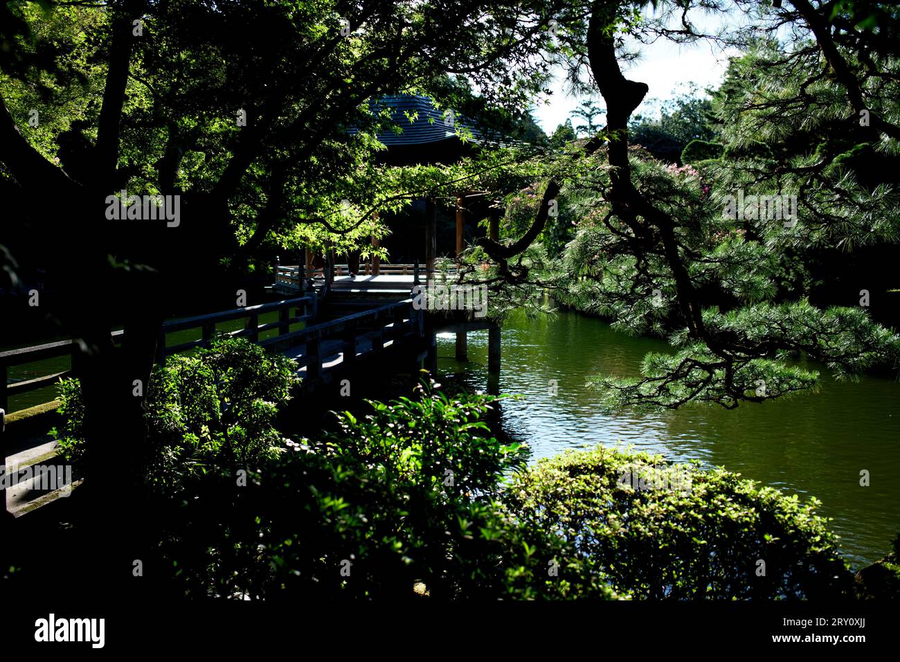 Narita Mountain New Victory Temple Tokyo Giappone Foto Stock