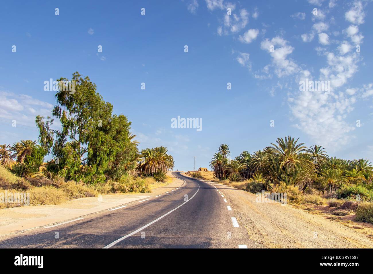 Desert Road tra le palme nel Governatorato di Medenine della Tunisia meridionale Foto Stock