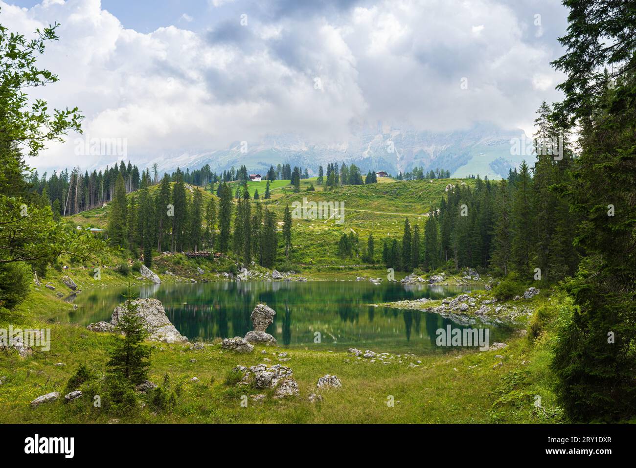 Vista sul lek di Carezza e sulla campagna della Val di Fassa Foto Stock