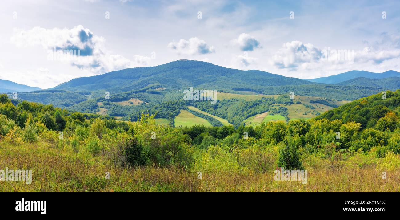 paesaggio con prati erbosi. montagna lontana sotto un cielo con nuvole. splendido paesaggio panoramico della campagna dei carpazi in una giornata di sole a portata di mano Foto Stock